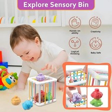 Baby Montessori Shape Sorter