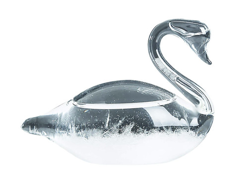 Storm glass weather - storm,