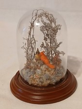 Vintage Terrarium Red