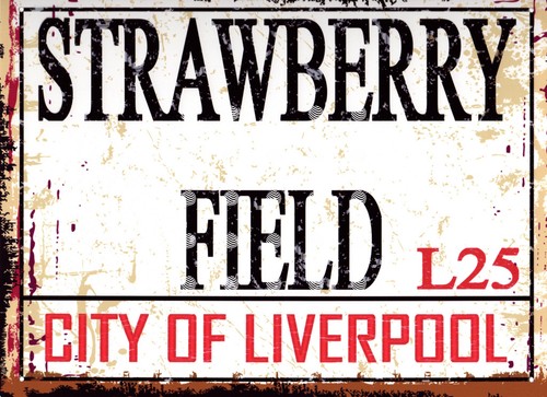 Strawberry field metal wall - strawberry,