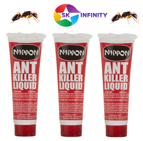Nippon ant insect - nippon,