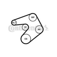 CONTINENTAL CTAM 6PK1244K1 V-RIBBED BELT SET FOR CITROËN,FORD,PEUGEOT