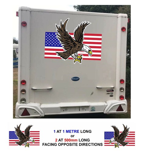 Bald eagle usa flag for - bald,