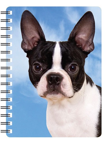 Boston terrier notebook - 3d,