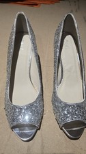 gorgeous sparkly silver sequin