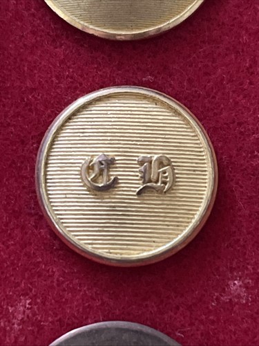 Hunt livery button cotswold - button.,