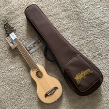 Washburn 34 Inch Spruce Folk Acoustic Guitar Travel Guitar -Two styles