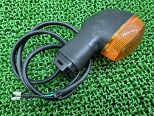 Right rear turn signal for