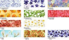 URSUS transparent paper FLORA