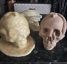 READY TO POST Fibreglass And Latex Mould Of A Creepy Vintage Snake Skull Master 