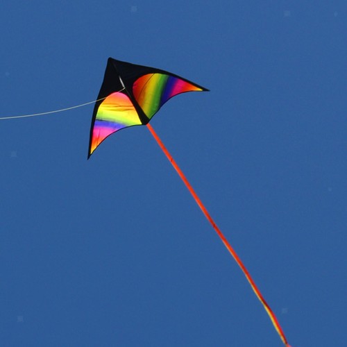 Large delta kite fly - delta,