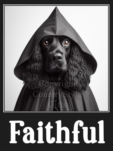 Cocker sprocker spaniel - cocker,