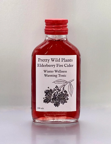 Elderberry fire cider - 🔥, –