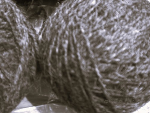 Wool off welsh - off, ewes