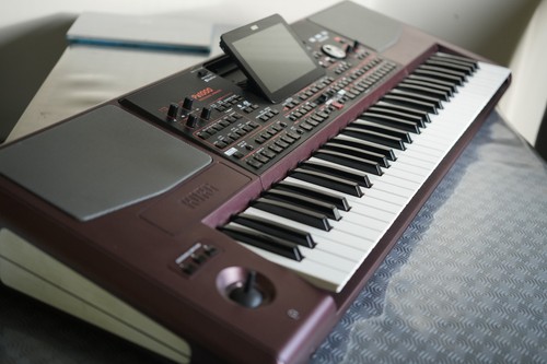Korg 1000 key pro - korg, pa-1000