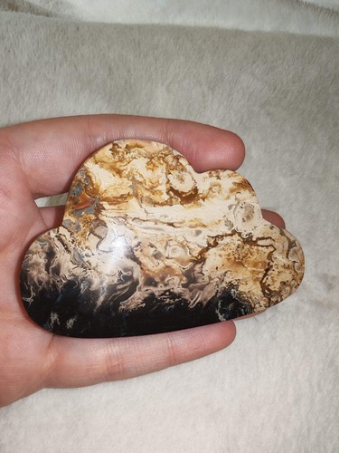 Agatized petrified - agatized,