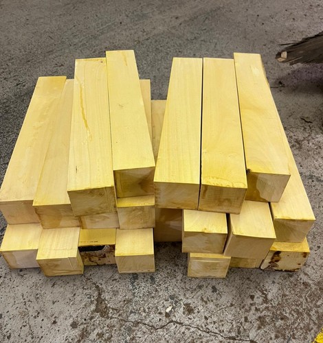 Lemonwood x 12 - x,