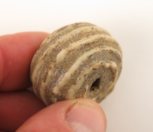 Roman phonecian style trailed - roman,