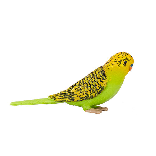 Mojo budgerigar green - .mojo,