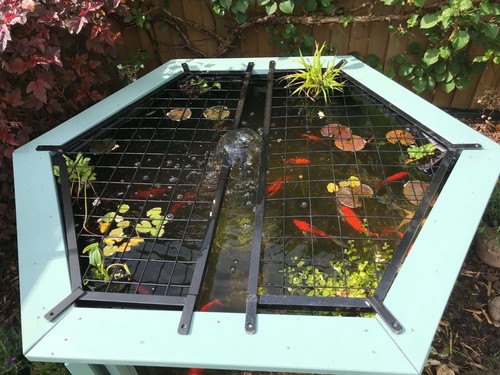 Fish pond cover for clear - for,