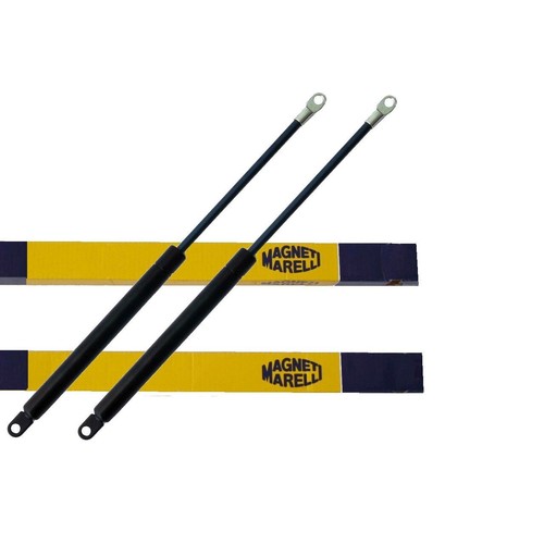 Gas struts bonnet - ✅, hood