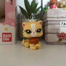 Littlest Pet Shop Persian Cat RARE Mystery Pet LPS Hasbro