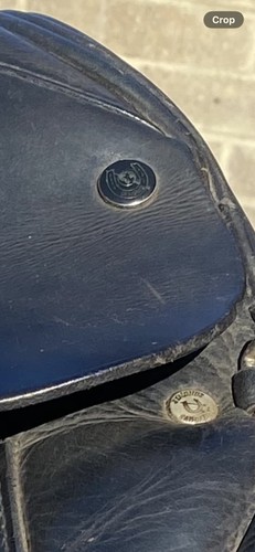 Saddle