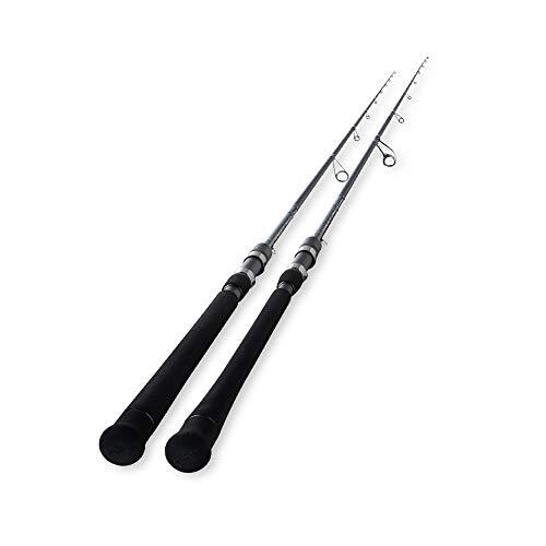 Tenryu spinning rod swat - tenryu,