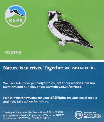 Rspb pin badge osprey - pin, niic