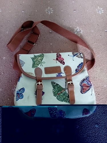 Signare tapestry butterfly - signare,