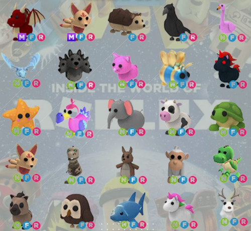 All pets eggs - all,