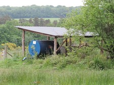 Photo 12x8 Water bowser and