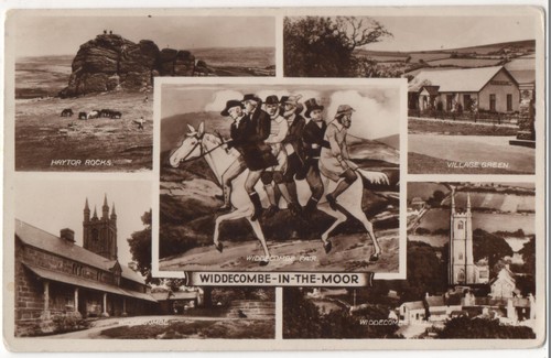 Real photograph multi view - real, multi-view