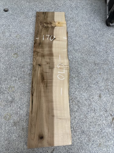 Elm live waney edge - elm,