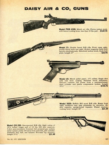 1971 print daisy - print, fwb