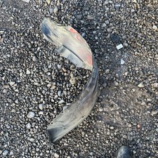 Toyota MR2 MK1   - Front left