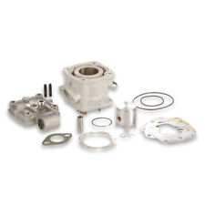 Malossi Thermal Group D 36 Aluminum Mini Moto-Pocketbike Polini H2O 50 2T LC 2