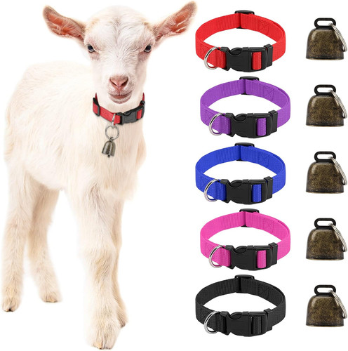 Pack goat collars with - pack,