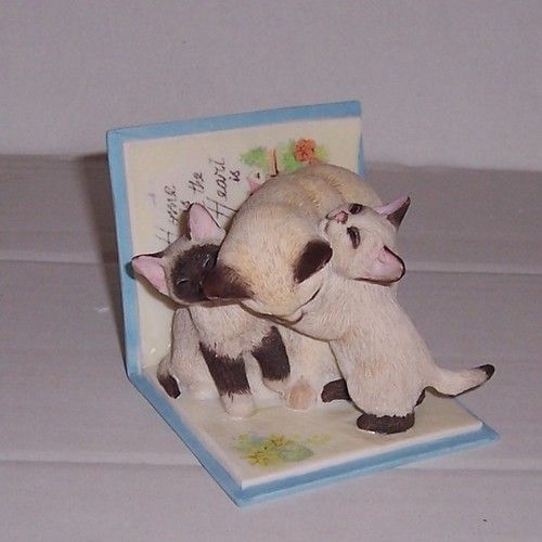 Country artists kitten tales - kitten,
