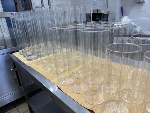 Glass cylinder vase - vase, of