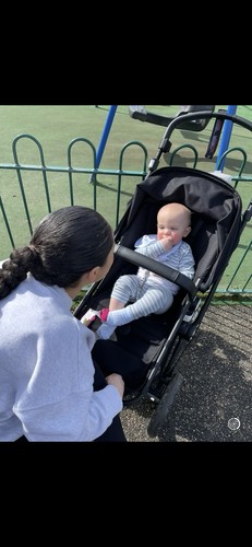 The bugaboo cameleon plus - bugaboo,