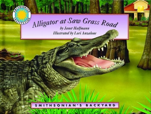 Alligator saw grass road - alligator,