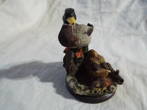 The country bird - the,