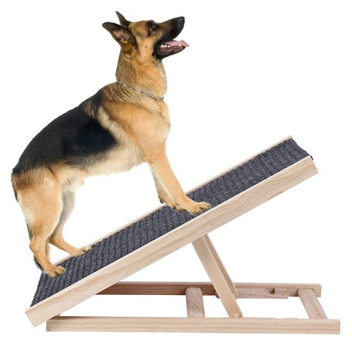 Dog ramp for - for, couch