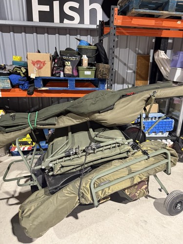 Carp fishing job - carp, lot