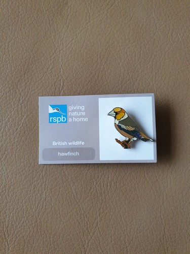 Rspb hawfinch enamel pin badge - enamel,