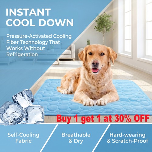 Large self cooling - ice, bed