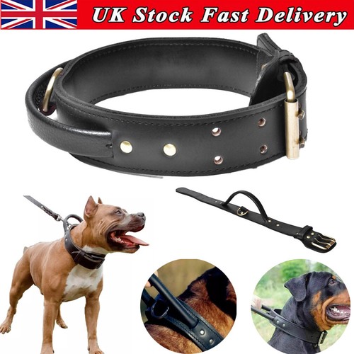 Large leather dog - large,