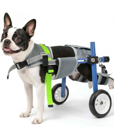 Adjustable wheelchair for - adjustable,