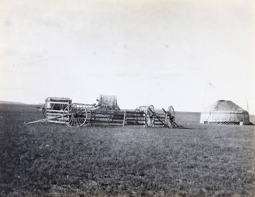 Enclosure for sheep made from - for,